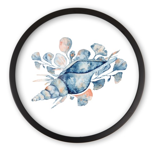 muszla_Easy-Resize.com