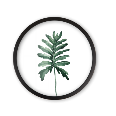 Filodendron