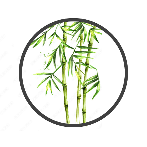 wall me wizki (9).png