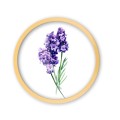 k8 zloto_Easy-Resize.com