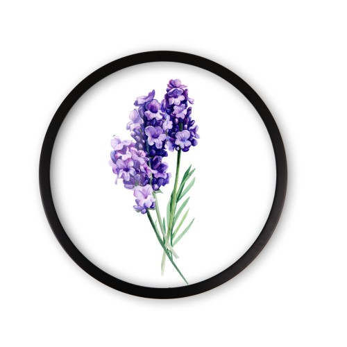 k8 srebro_Easy-Resize.com