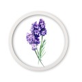 k8 bialy_Easy-Resize.com