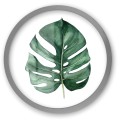 R3 srebro_Easy-Resize.com