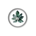 R6 srebro_Easy-Resize.com