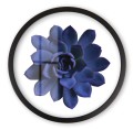 kwiat czarna_Easy-Resize.com