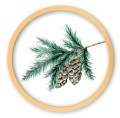 galazka V2 zlota_Easy-Resize.com