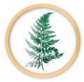 paproc V2  zlota_Easy-Resize.com