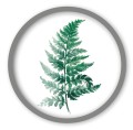 paproc V2  srebrna_Easy-Resize.com