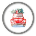 auto nk srebrna_Easy-Resize.com