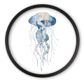 meduza